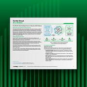 Cortex Cloud de un vistazo