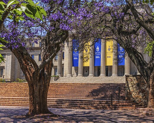 Fotografía de Wits University