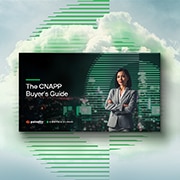 Guía del comprador de la CNAPP