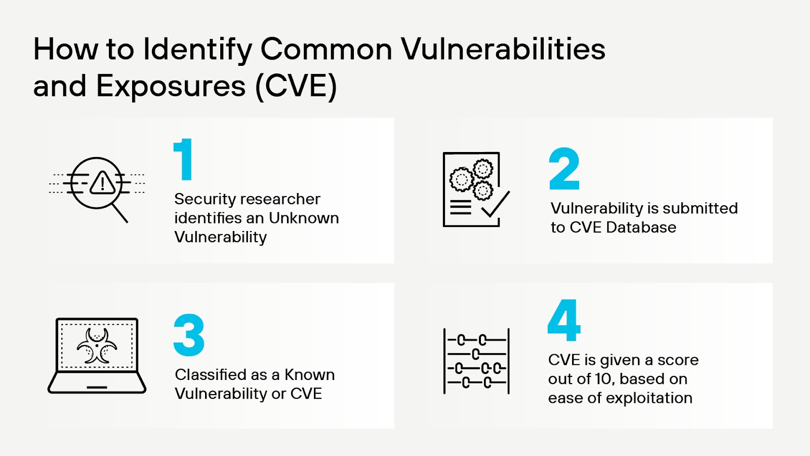 Proceso de identificación de la CVE