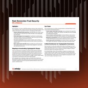 Panorama de las NGTS